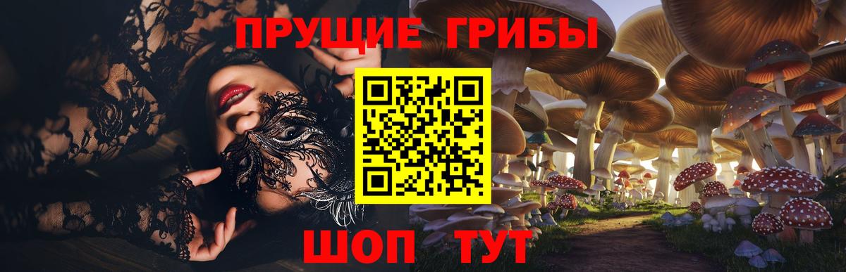 Сорочинск  Псилоцибиновые грибы ЛСД  Вход с VPN 